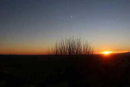 Grandma's House 別荘 *